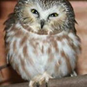 Chris SChaeffer's photo