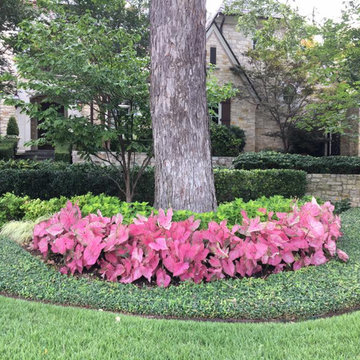 Residential Design and Installation
