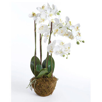 Hand-Crafted Orchid Drop-In Plant, 30"