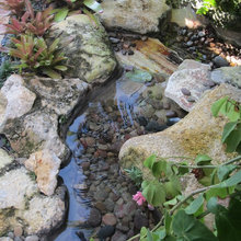ponds