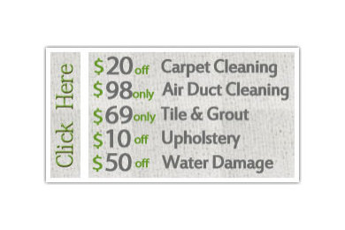 The Carpet Cleaning Dallas TX