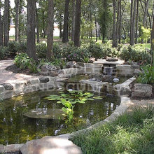 water feature