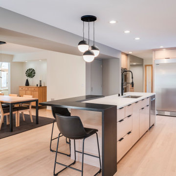 Minimalist Modern Kitchen