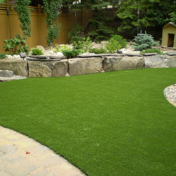 Dog Yards