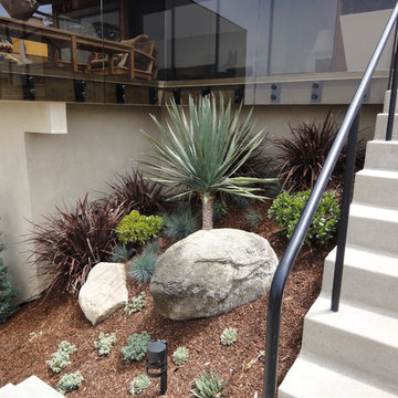 Muirlands Modern