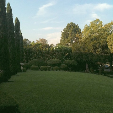 Pasadena Italian Craftsman
