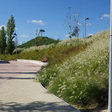 Parque Urbano de Avenida de U.E - Arroyomolinos
