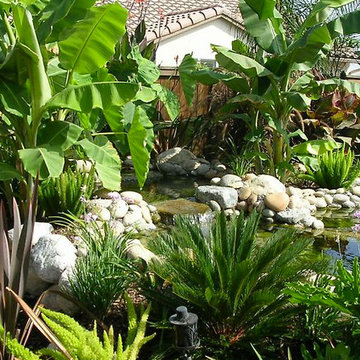 Gallery -Tropical/ Mediterranean