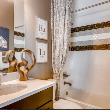 Aurora Snow Bathroom Design