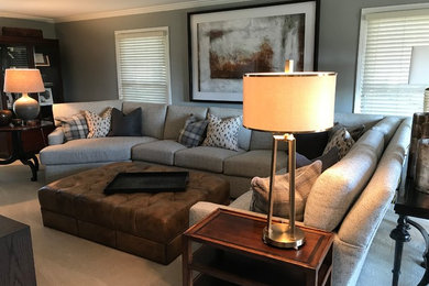 Family room - transitional family room idea in Other