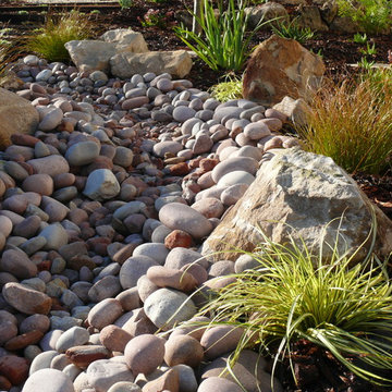 Dry Riverbed Garden