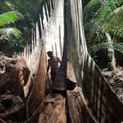 Tony Schmycowski's photo