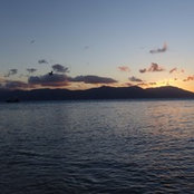 Karen Longhurst's photo