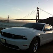 Robert Alvarado's photo