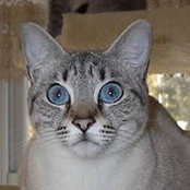 Rolanda Houle's photo