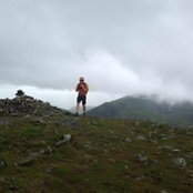 Dan Collins's photo