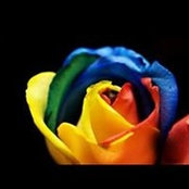 Lorena Cristina's photo
