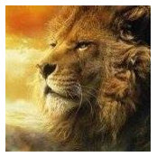 Manoj Kumar's photo