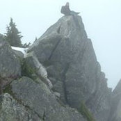 Jeffrey Gevaert's photo