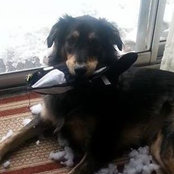 Foto de Lynne Jarzembowski Kelley