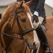 Karen Bolton's photo