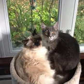 Foto von Linda Danley