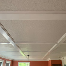 ceiling for den