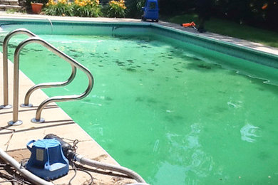 Example of a mid-sized classic backyard concrete and rectangular natural pool design in Indianapolis