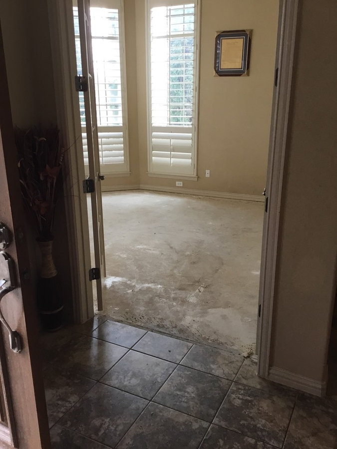 6"1/2" wood flooring In Walsh Ranch 03-11-17