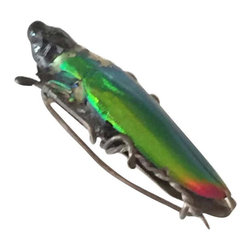Egyptian Revival Beetle Brooch, circa 1900 - Sculptures