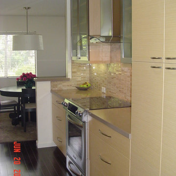 redwood shores kitchen upgrade