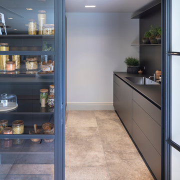 Contemporary Pantry
