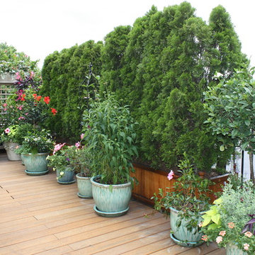 Wisteria & Rose roof deck designs. Visit www.wisteriaandrose.com for more info!