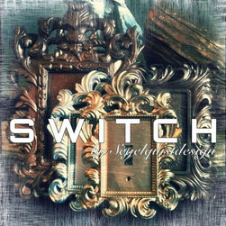 SWITCH : Designer Light Switch Plates - Switch Plates And Outlet Covers