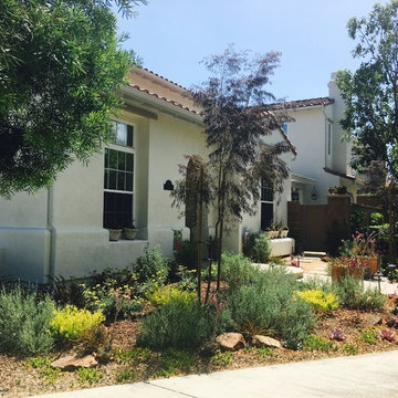 Transitional garden in Irvine