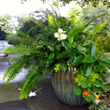 Coastal Rhode Island Garden: Salt Pond Friendly