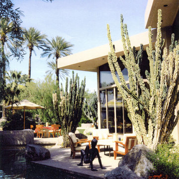 Back Patio