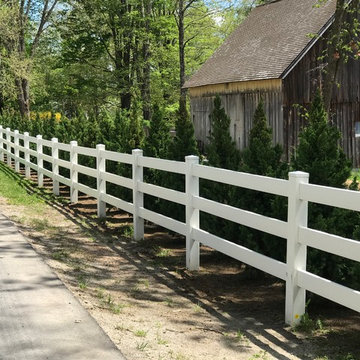 Hedge: Iowa Juniper Trees