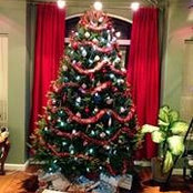 Wendy Vlaj's photo