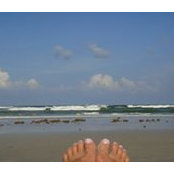 Gail Waters's photo