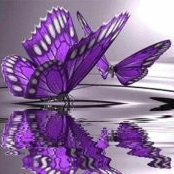 Donna Whitman's photo