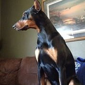 Kevin Koestler's photo