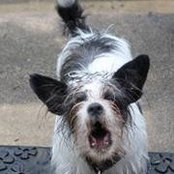 Chancey Walker's photo