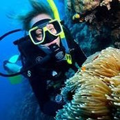 Rhianna Everett's photo