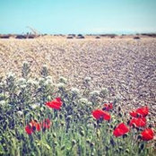 Tom Yelland's photo