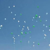 Susan Montefalcon's photo