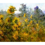 Wendy Soliday's photo