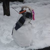 Sandra Ortiz's photo