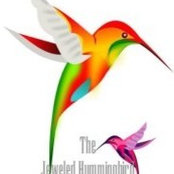 Sheree Rutter's photo