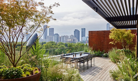 Roof Deck Above the City Blooms as a Garden in the Sky